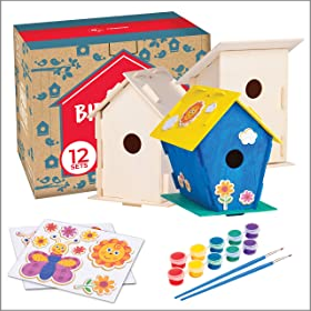 12 Birdhouse Craft Kits