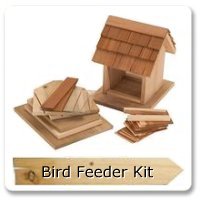 Bird Feeder Kit