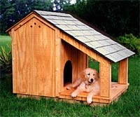 build dog house