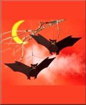 Halloween Bat Plans
