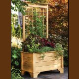Garden Planter Box and Trellis