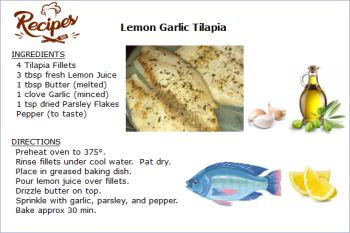 Lemon Garlic Tilapia