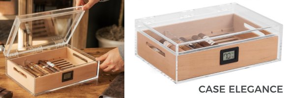 Felix Tupperdor - Airtight Acrylic Humidor