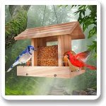 Birdfeeders