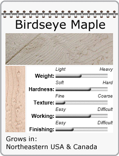 Birdseye Maple