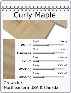 Curly Maple