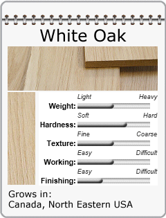 White Oak