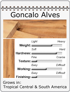 goncalo alves